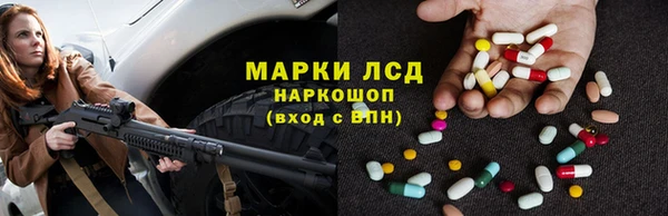 прущие грибы Заволжск