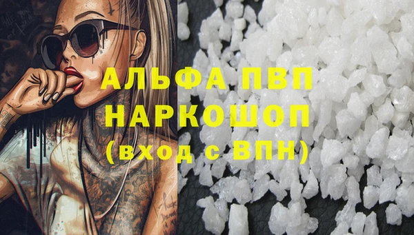 прущие грибы Заволжск