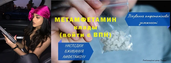 прущие грибы Заволжск