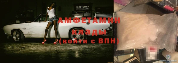 прущие грибы Заволжск