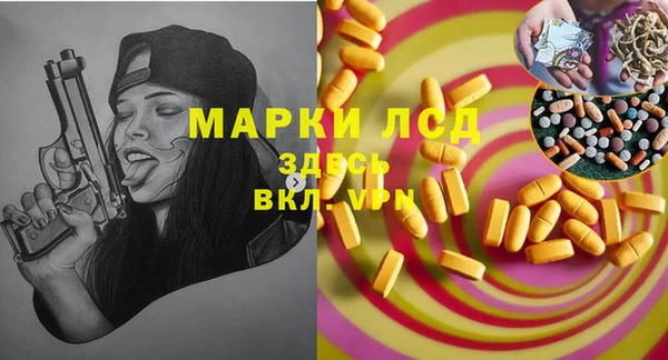 прущие грибы Заволжск